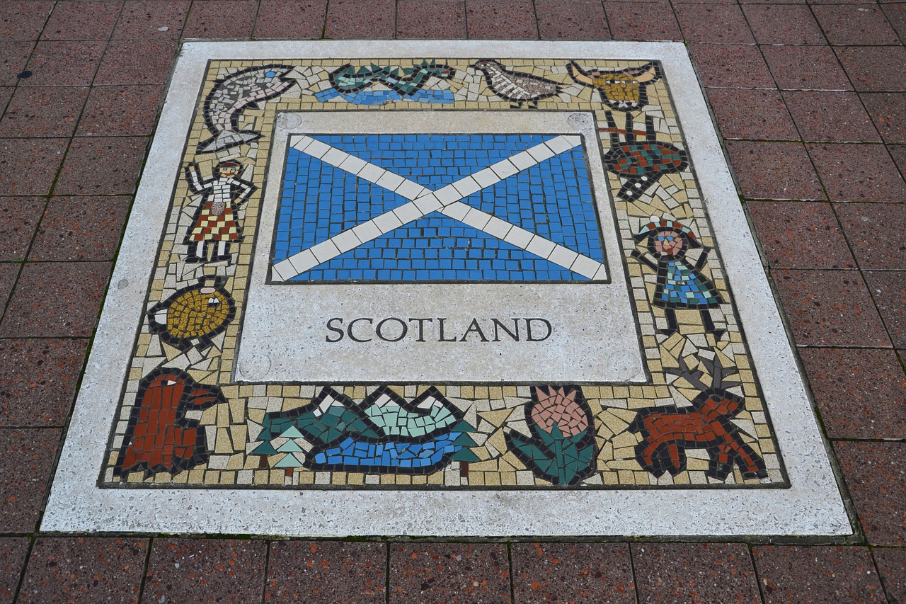 scotland team emblem rugby free photo