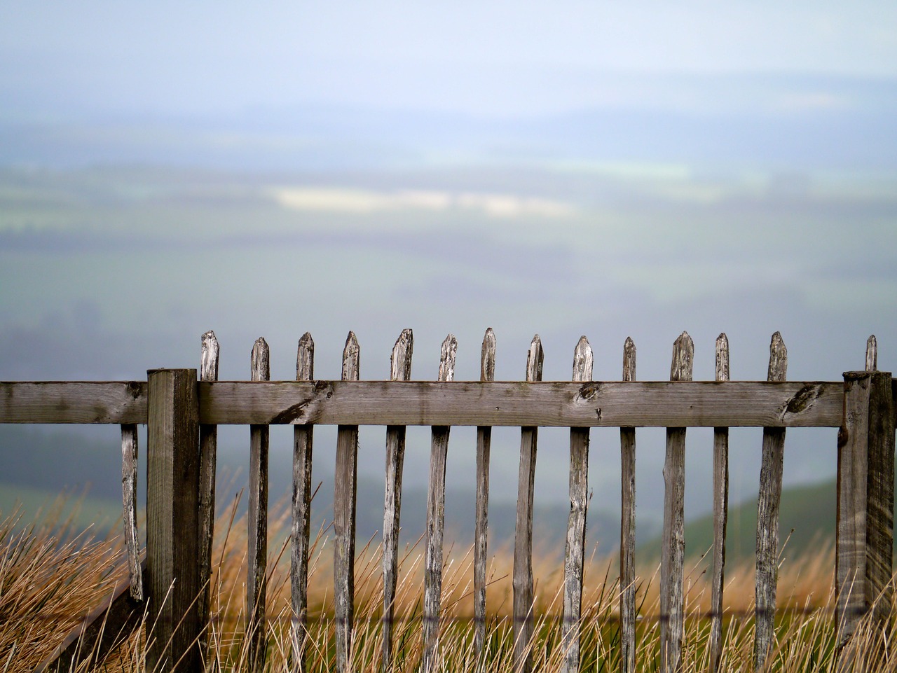 scotland border fence free photo