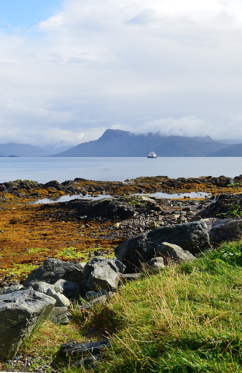 scotland sea heather free photo