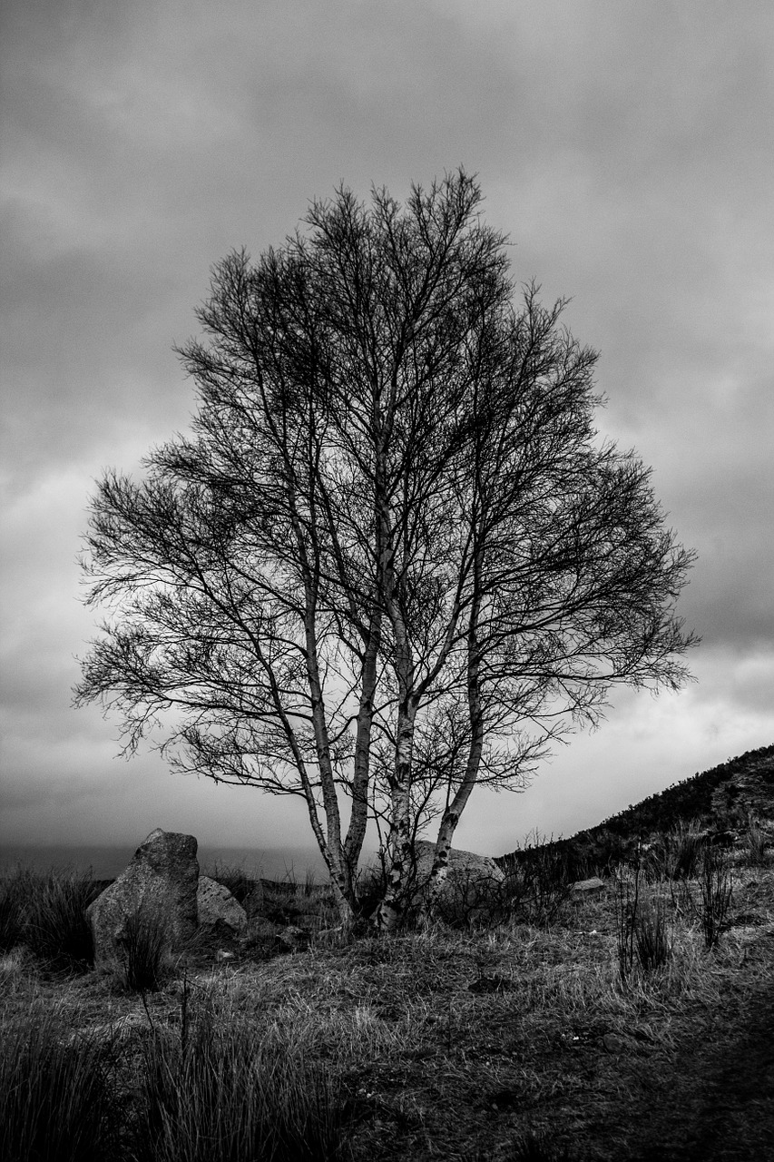 scotland water lake free photo