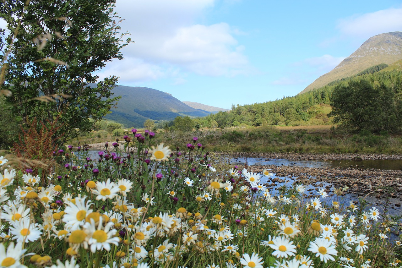 scotland highlands and islands landscape free photo
