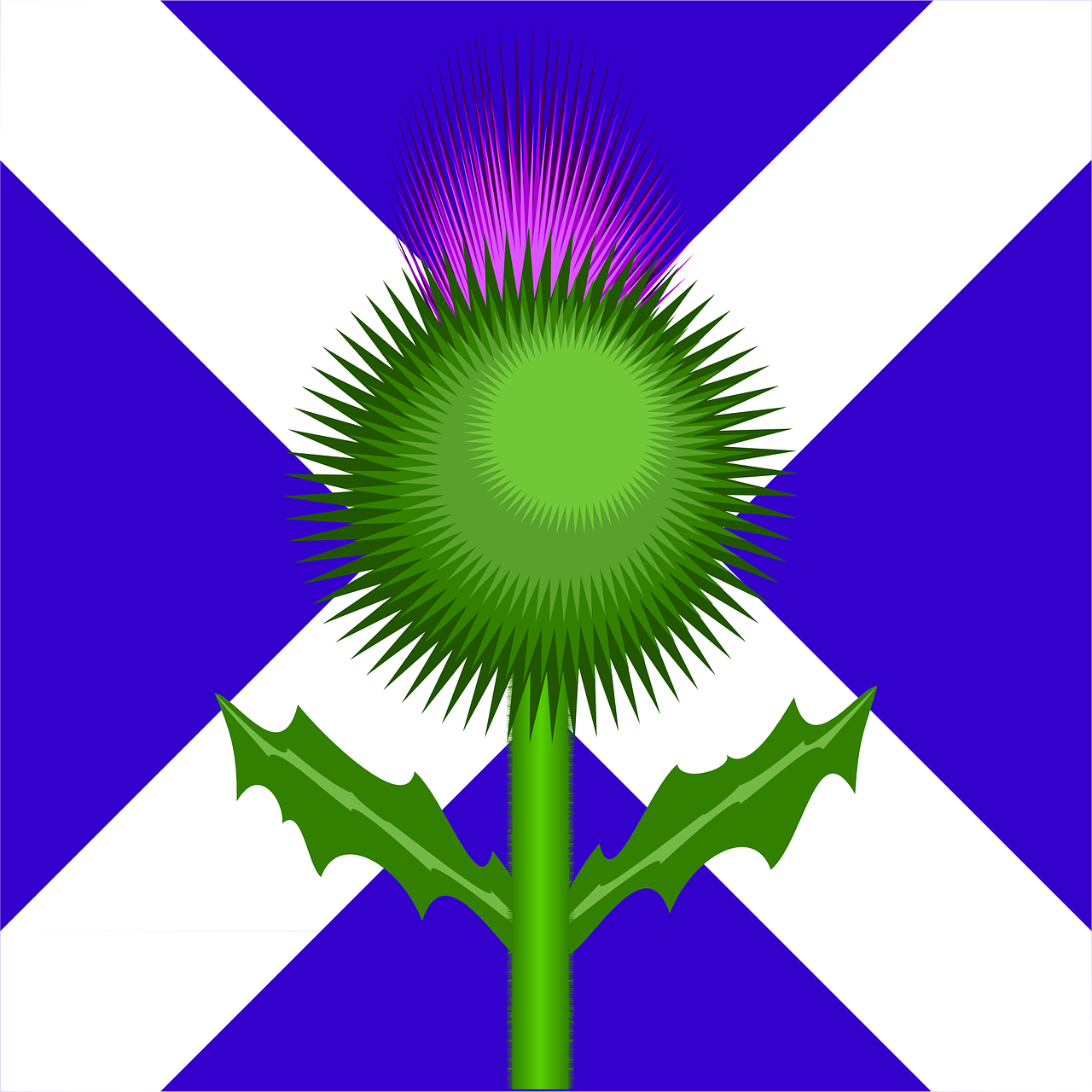 scotland scottish flag free photo