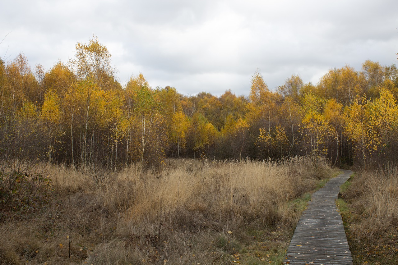 scotland hiking nature free photo