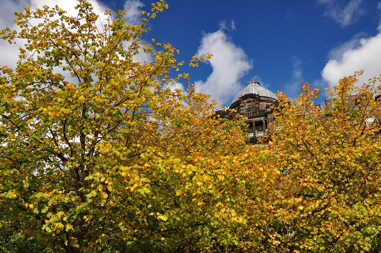 scotland autumn blue sky free photo