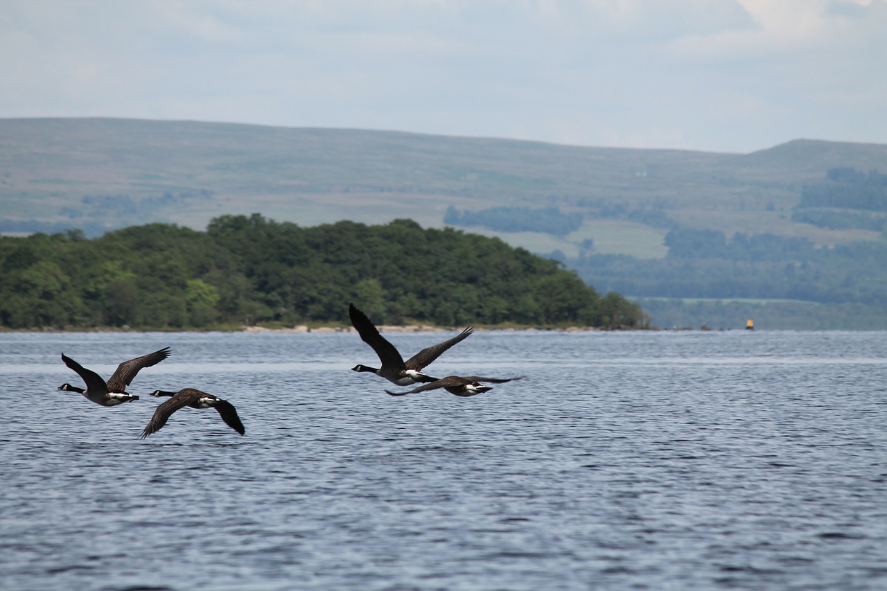 scotland loch lomond lake free photo