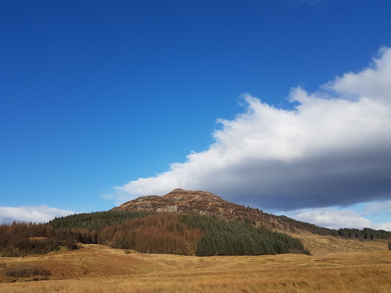 scotland mountain field free photo