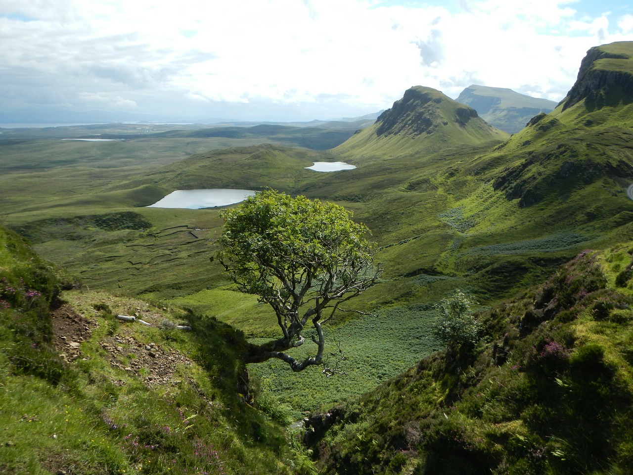 scotland landscape meadow free photo