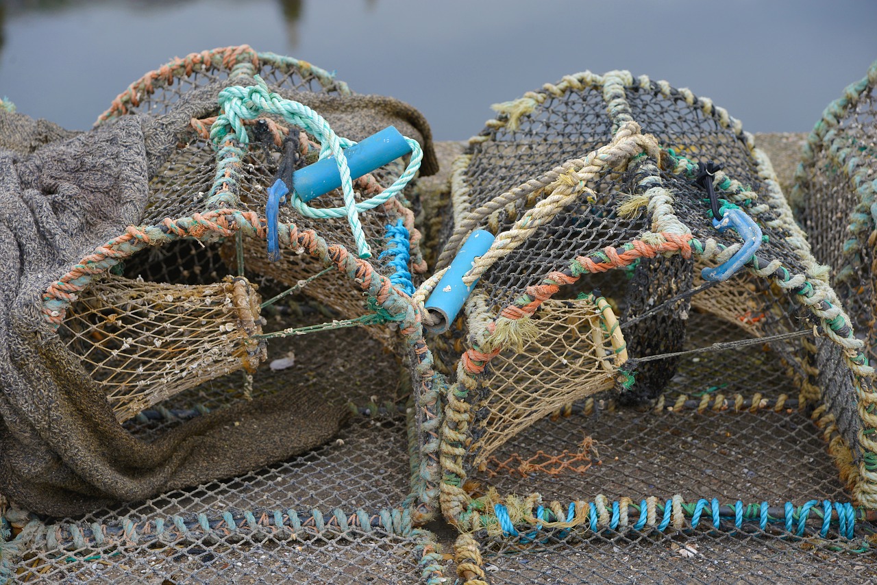 scotland grass box fish-catching basket free photo