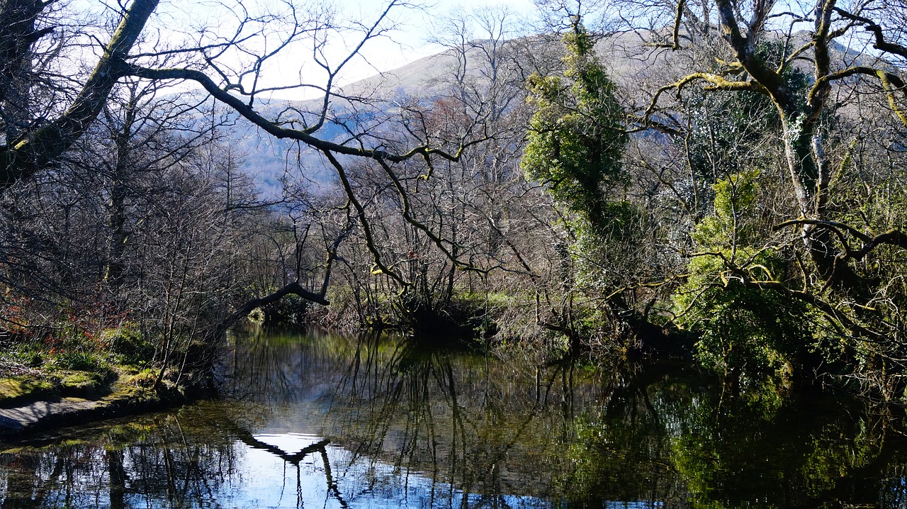 scotland river the inflow of the lake free photo