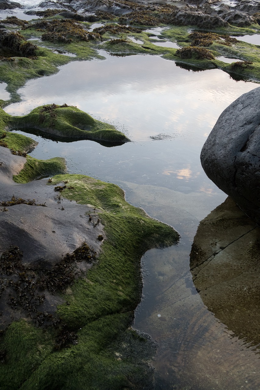 scotland water nature free photo