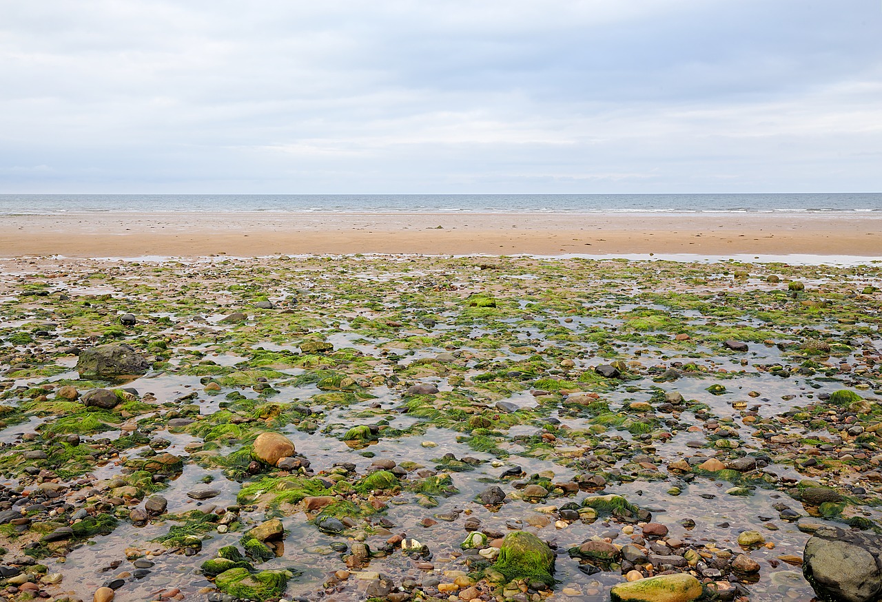 scotland  sea  beach free photo