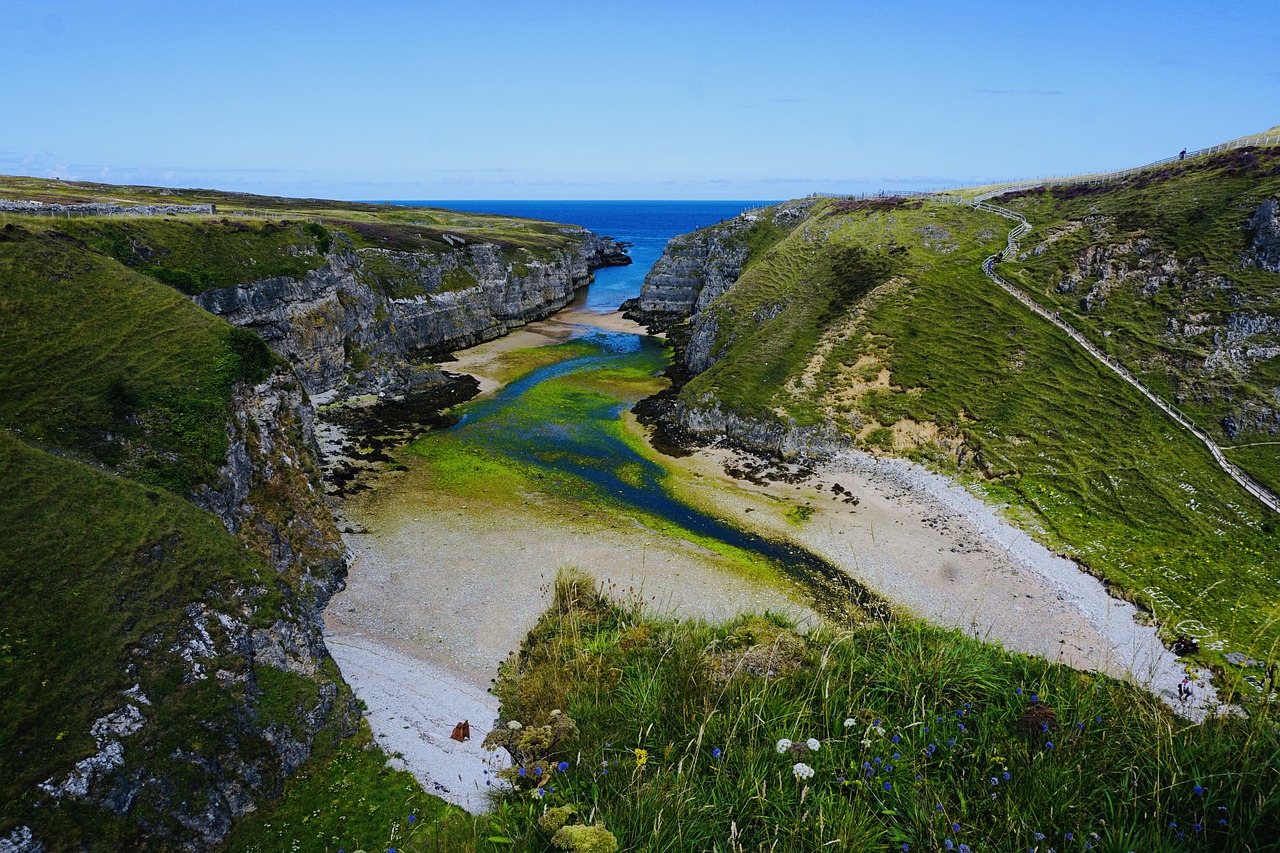 scotland  sea  coast free photo