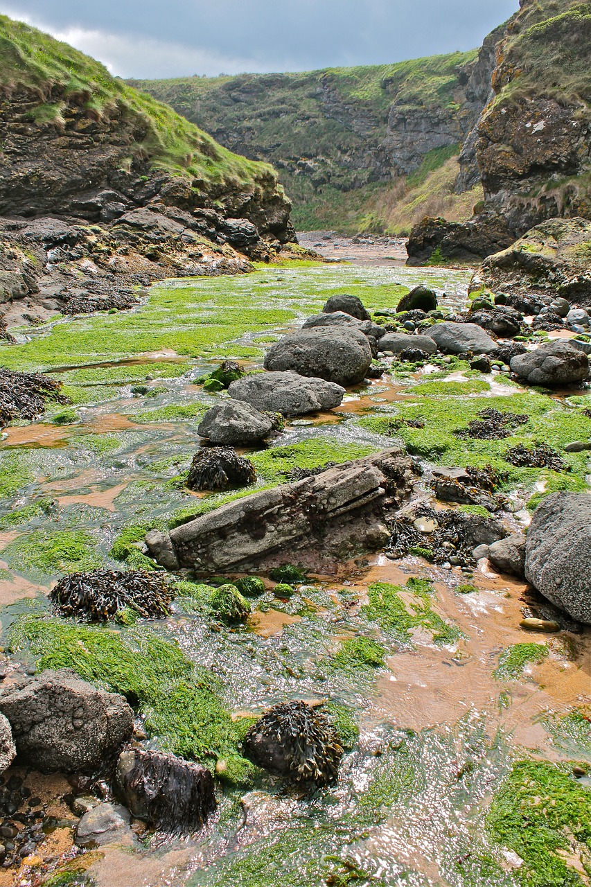 scotland  edinburgh  places of interest free photo