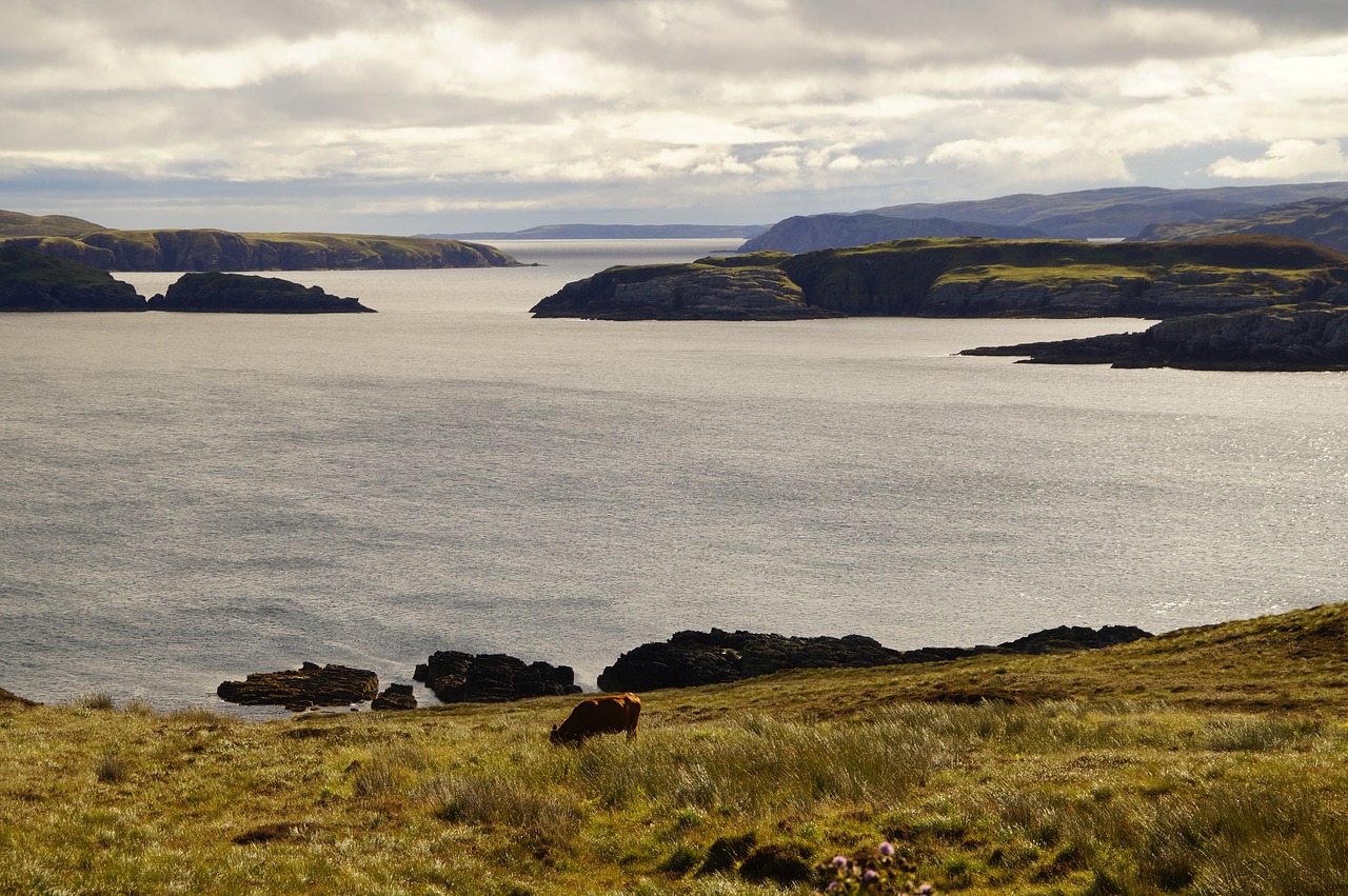 scotland  north of scotland  upstream free photo