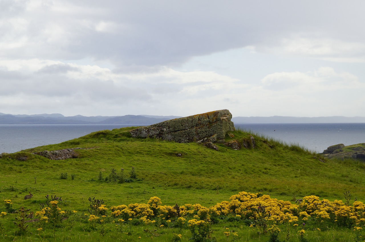 scotland  handa  handa island free photo