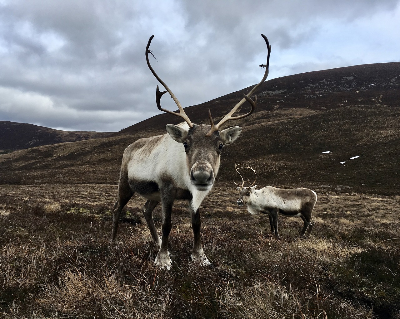 scotland  hiking  outdoors free photo