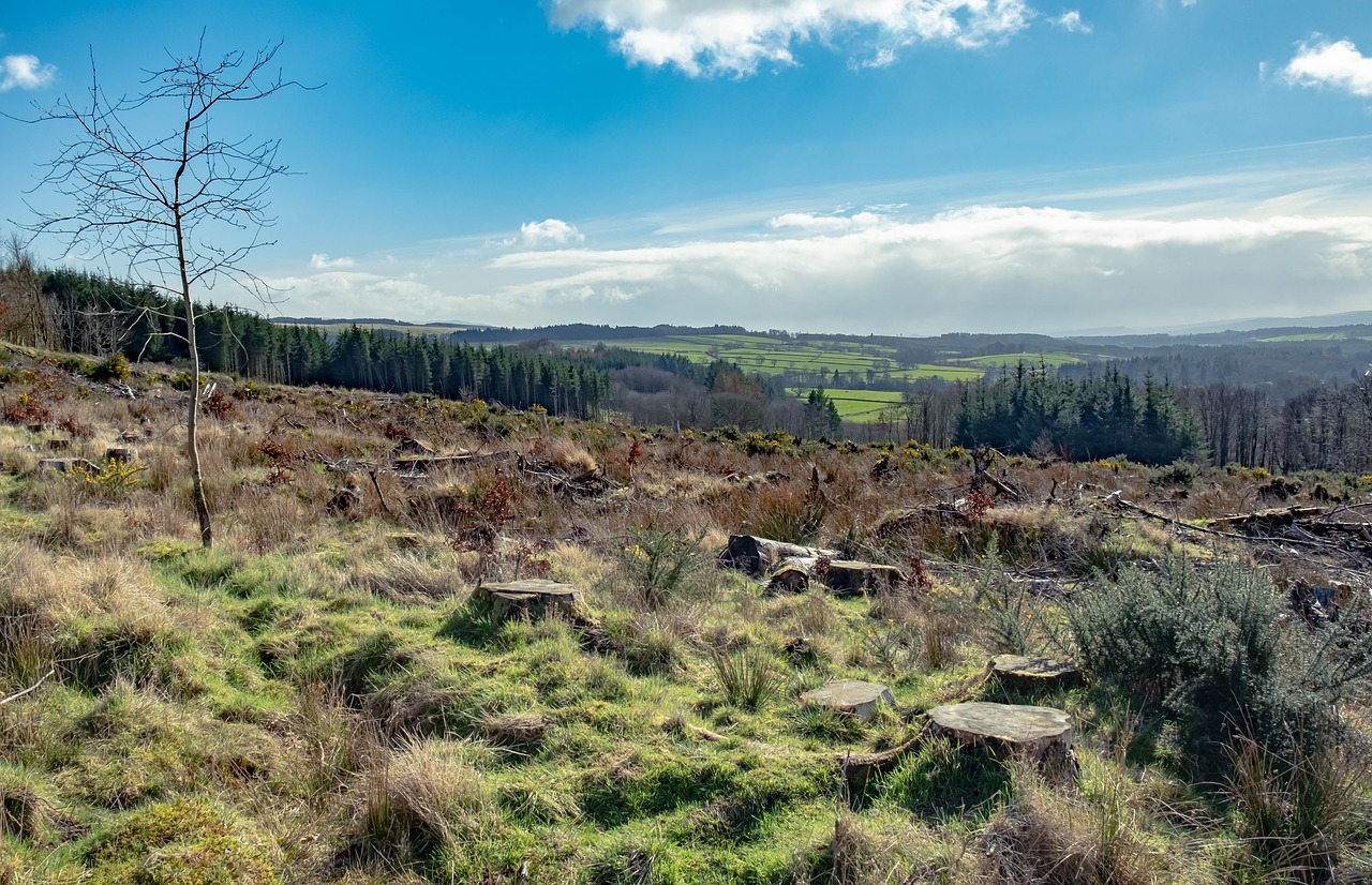 scotland  hills  landscape free photo