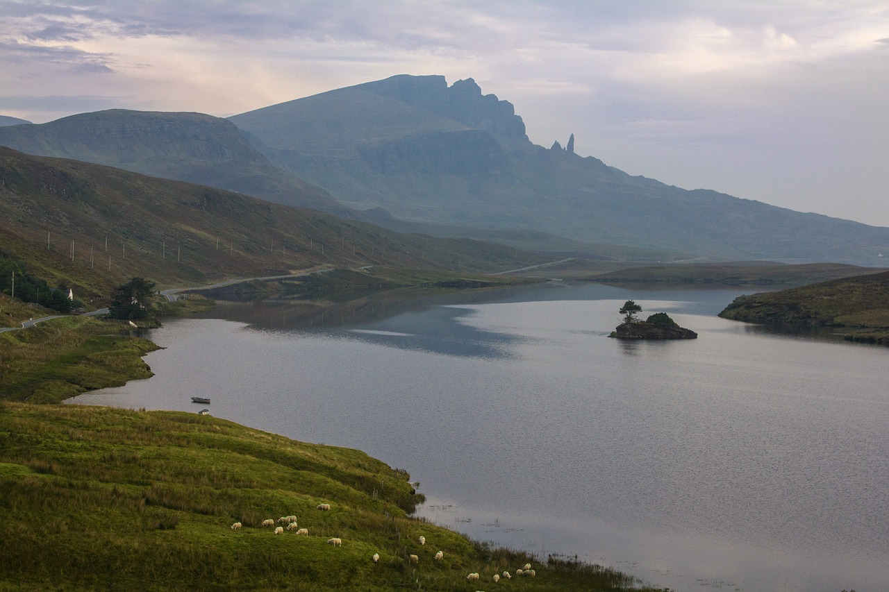 scotland sheep mountain free photo