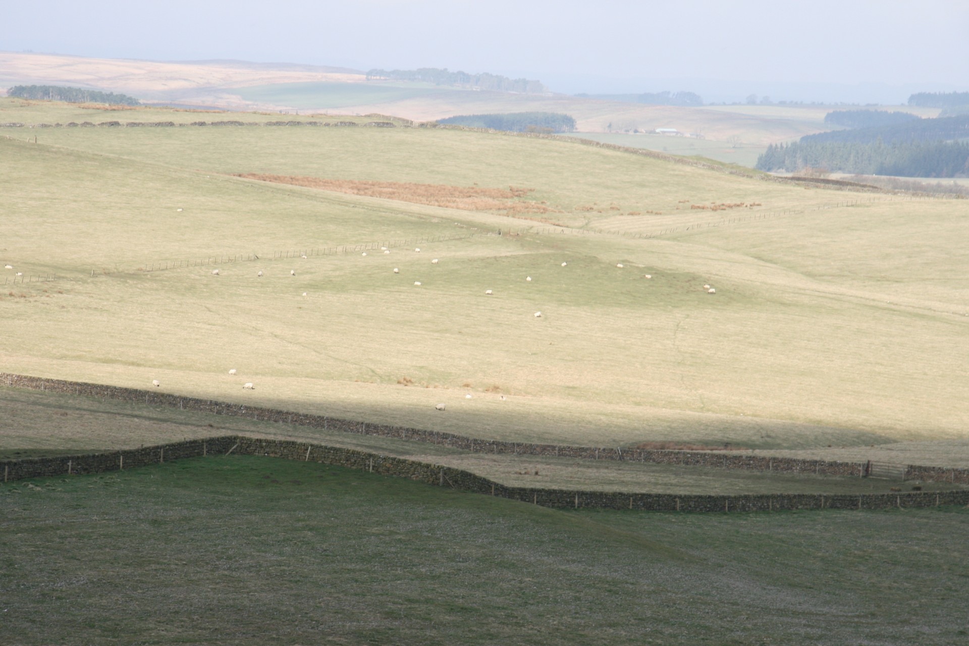 scotland wall countryside free photo