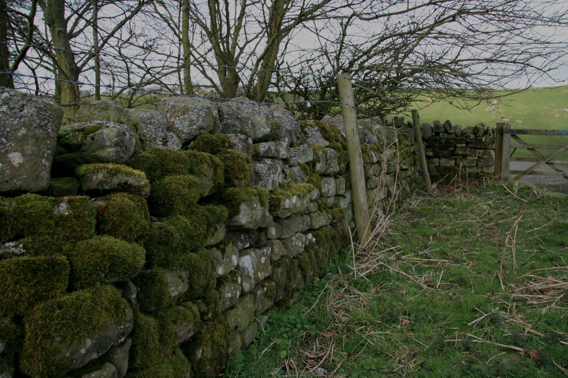 scotland wall countryside free photo