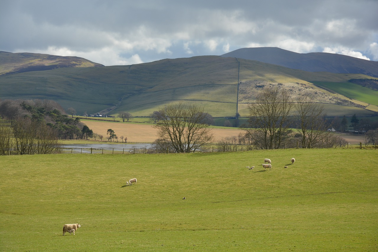 scottish nature landscape free photo