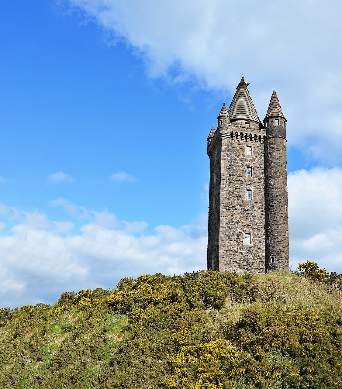 scrabo tower tower newtownards free photo