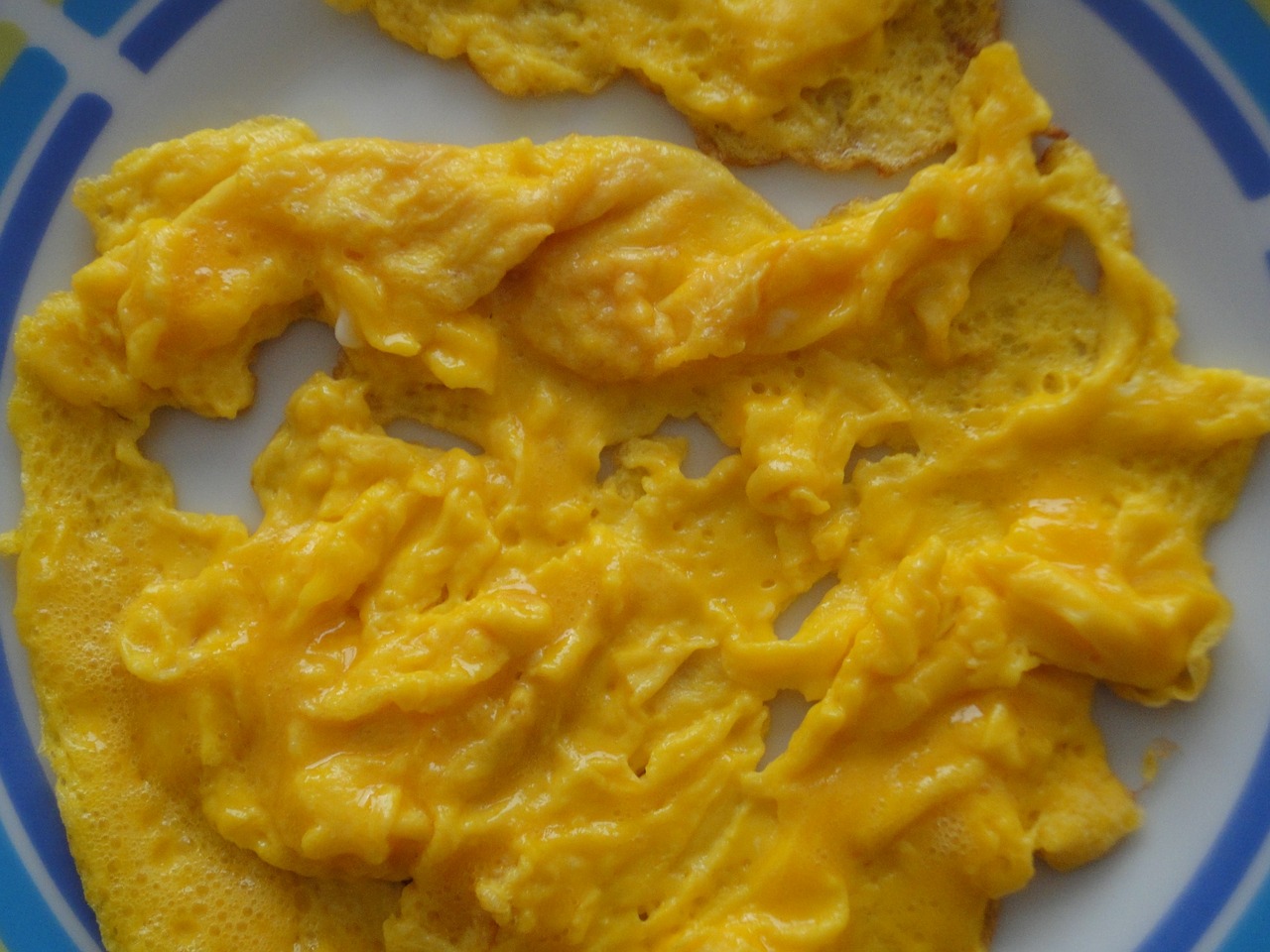 scrambled eggs eggs duck free photo