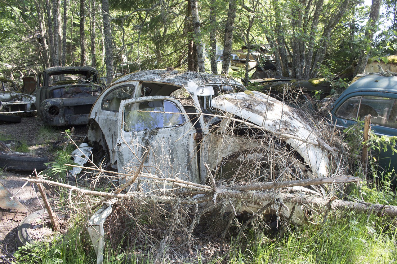 scrap iron  car cemetery  car wreck free photo