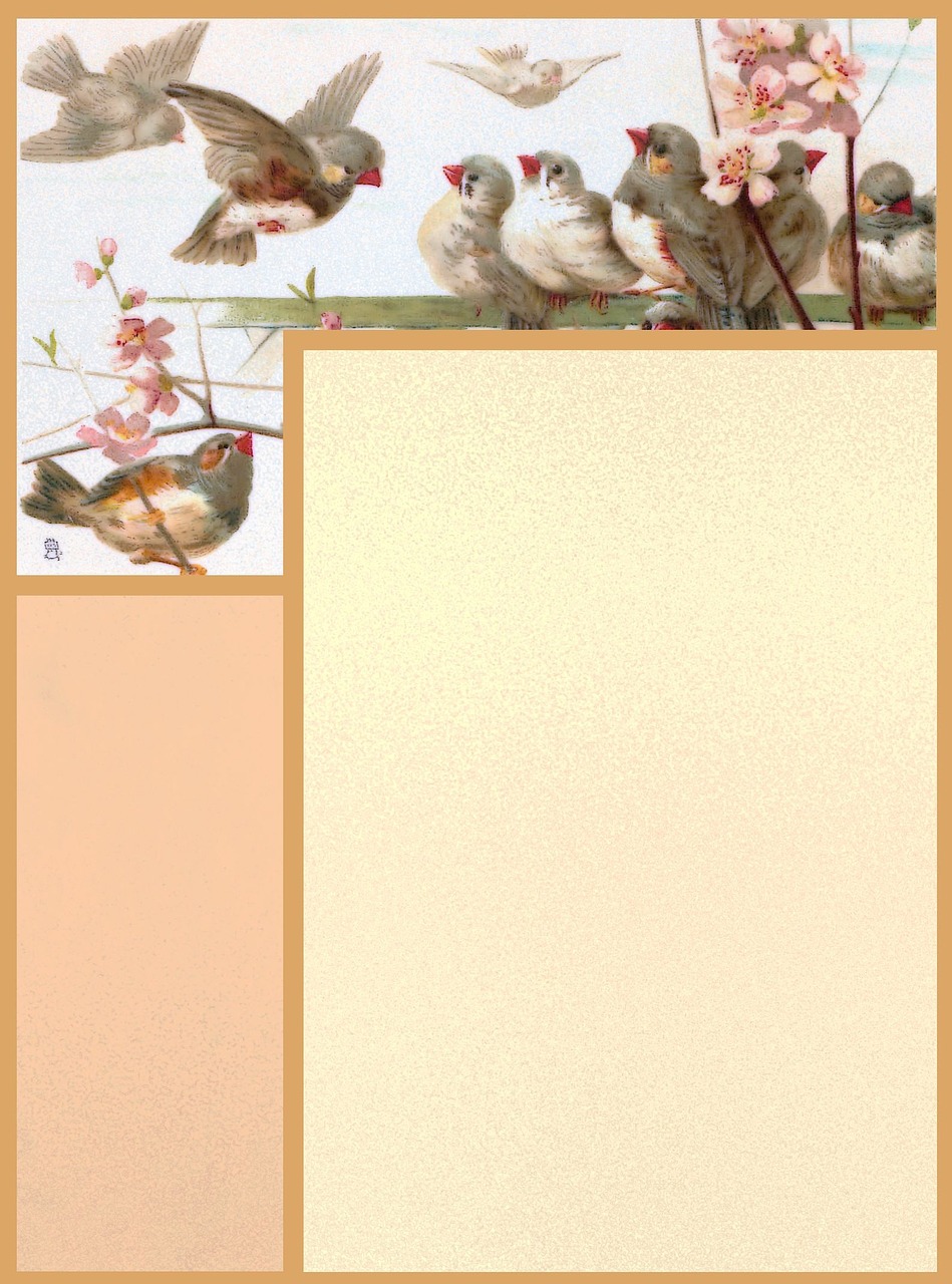 scrapbook paper page free photo