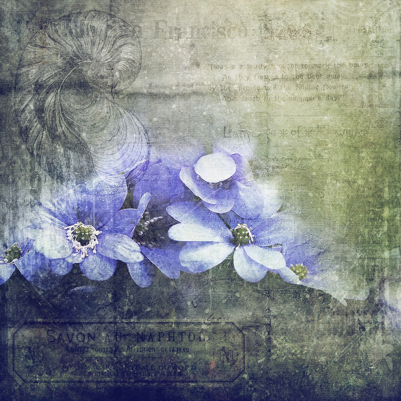 scrapbook texture flowers free photo