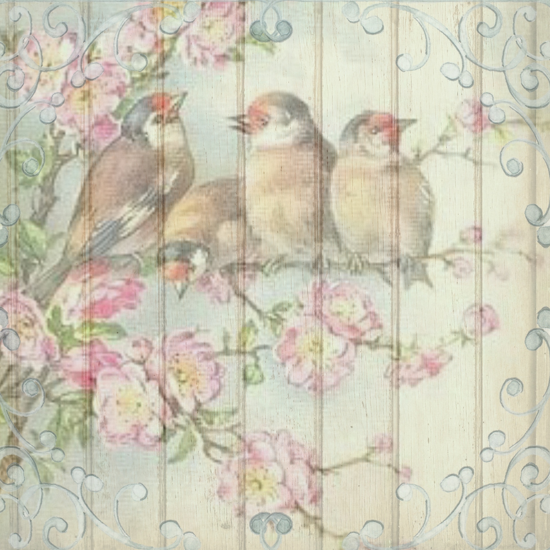 scrapbook background birds free photo