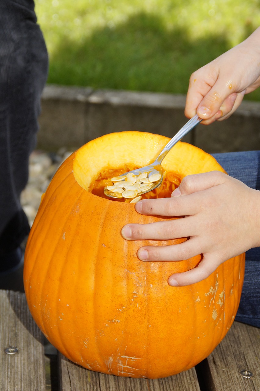 scrape off scoop out pumpkin free photo