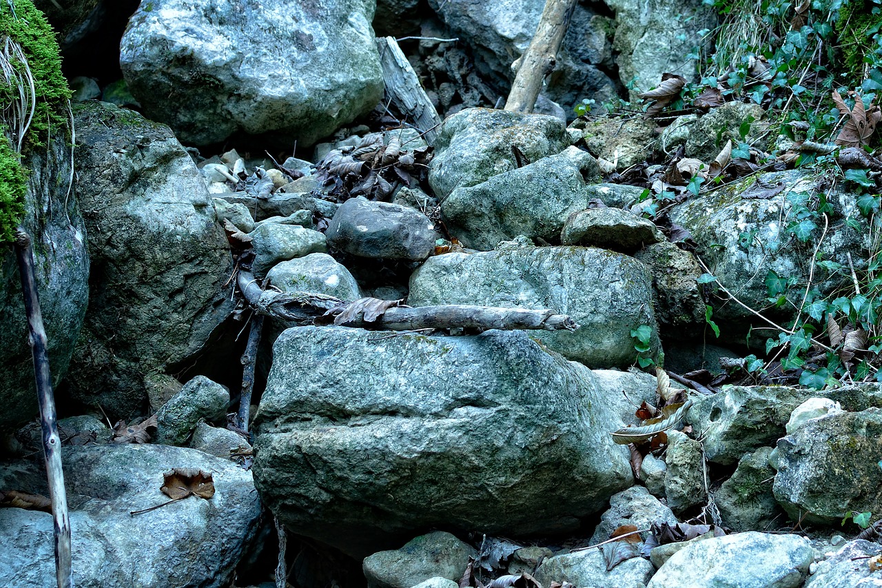 scree rock stones free photo