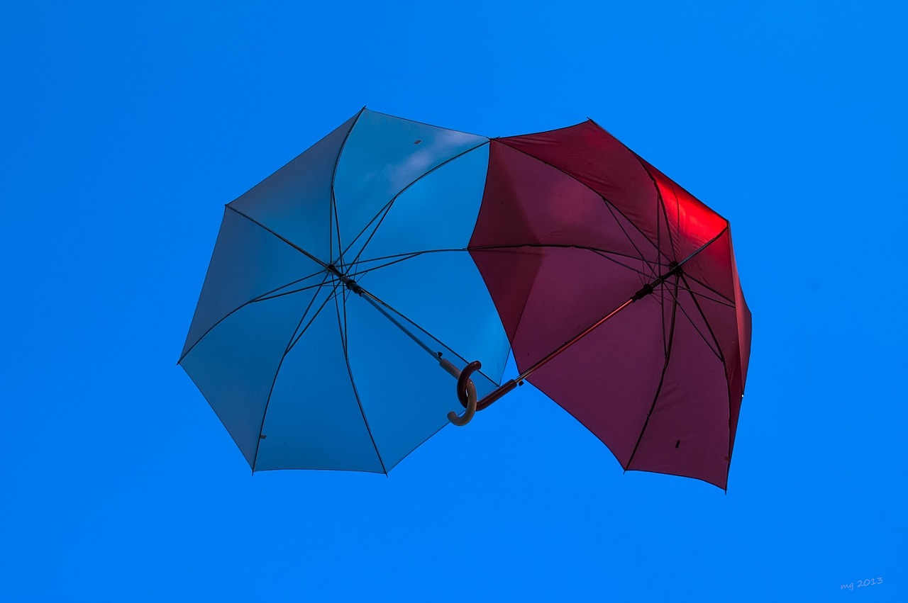 screen umbrella sky free photo