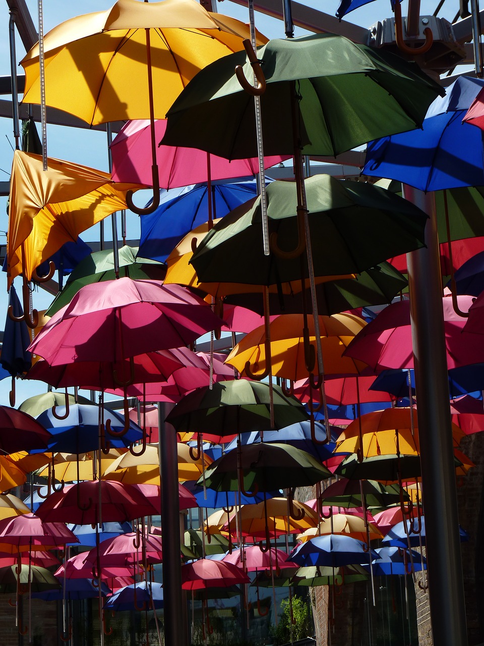 screen umbrella colorful free photo