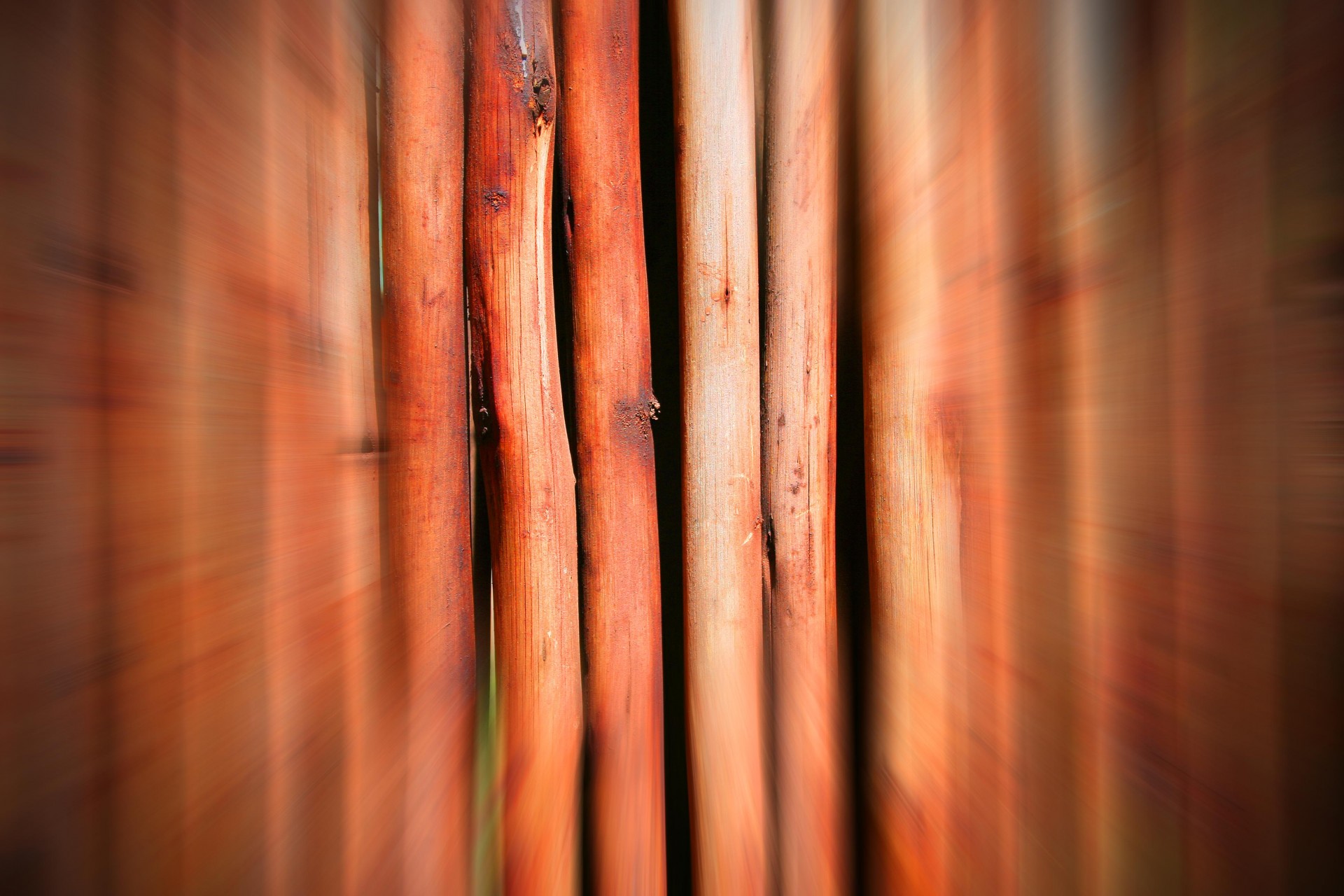 screen poles blur free photo