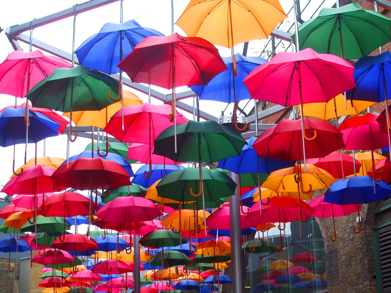 screens umbrellas colored umbrellas free photo