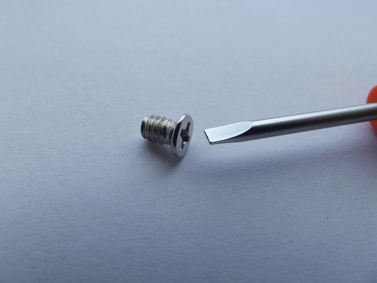 screw screws screwdriver free photo