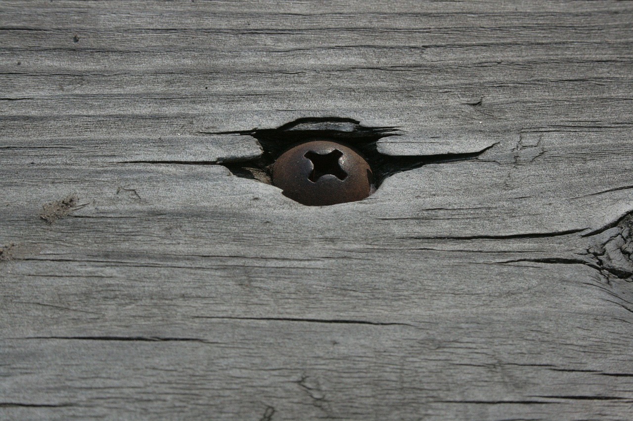 screw wood weathered free photo
