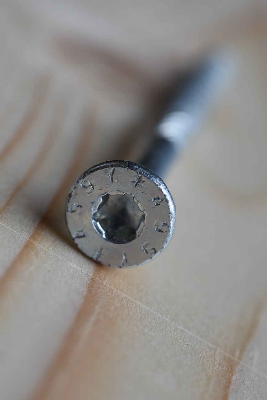 screw  screw head  stainless steel screws free photo