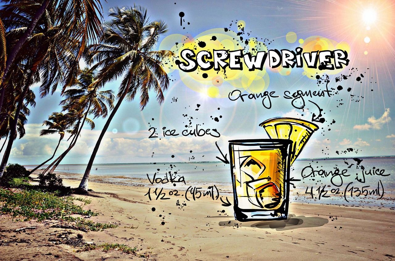 screwdriver cocktail drink free photo