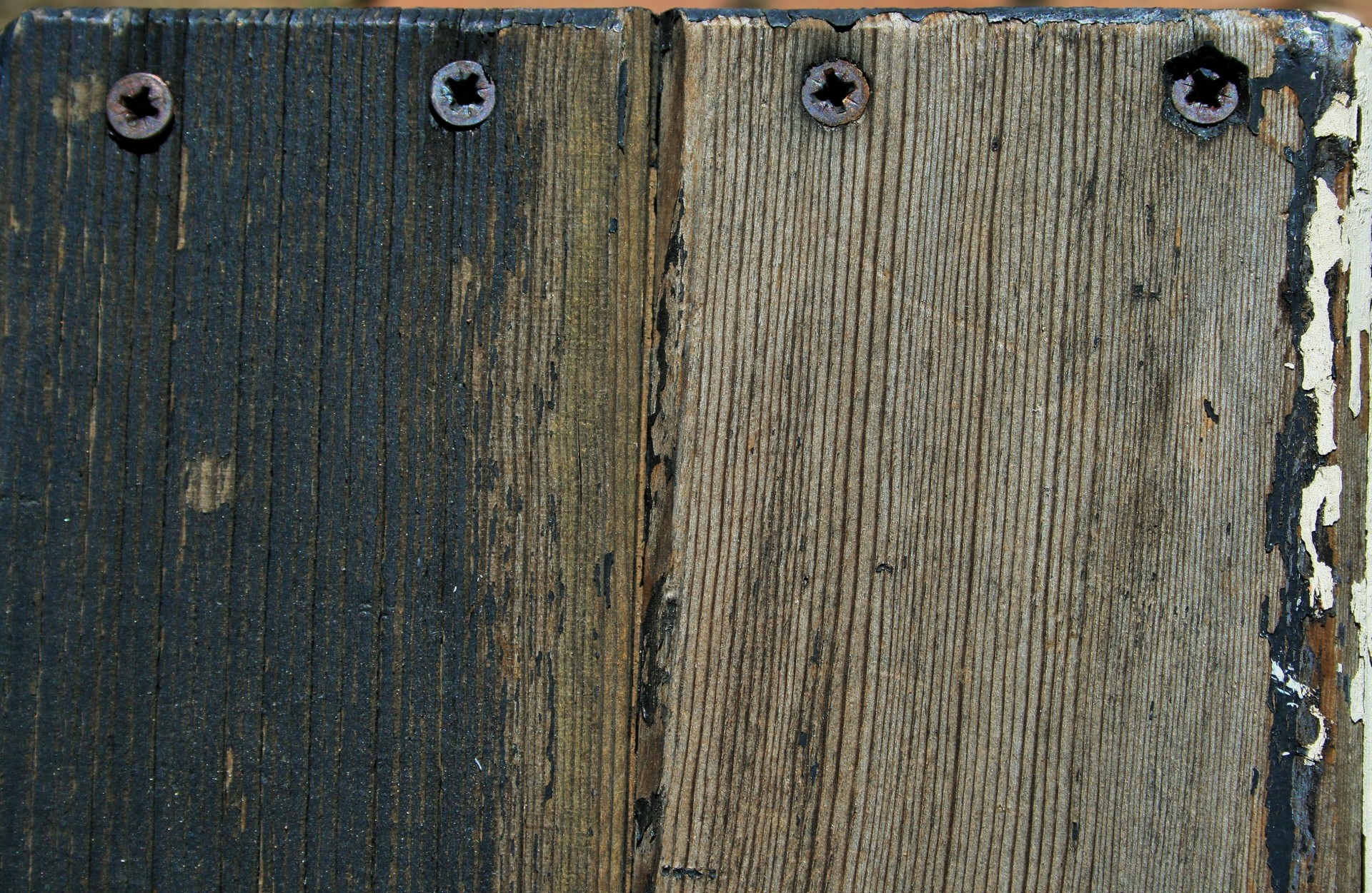 wood weathered screws free photo