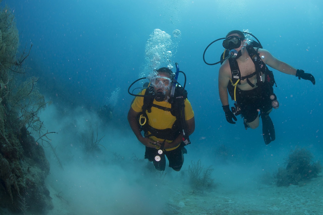 scuba divers diving free photo