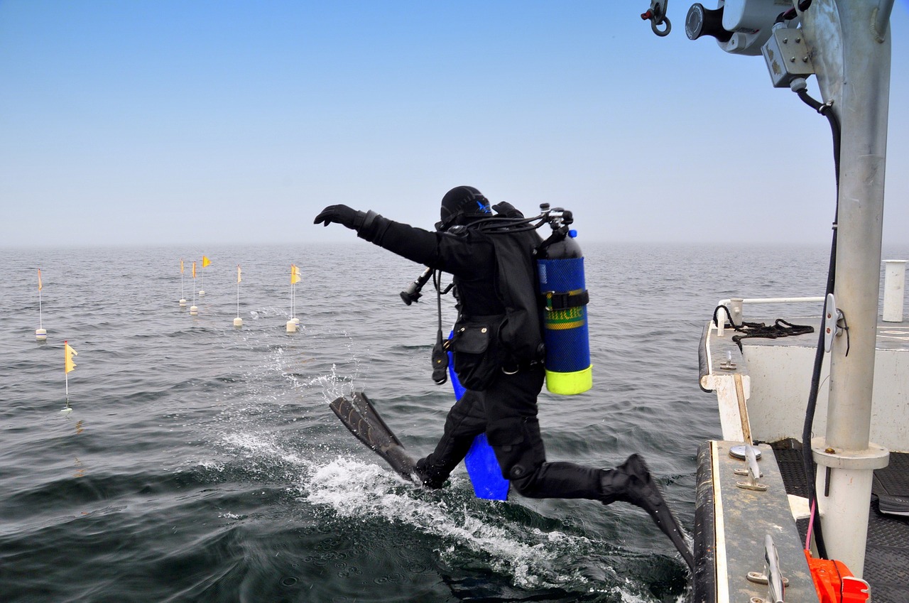 scuba diver boat leaping free photo