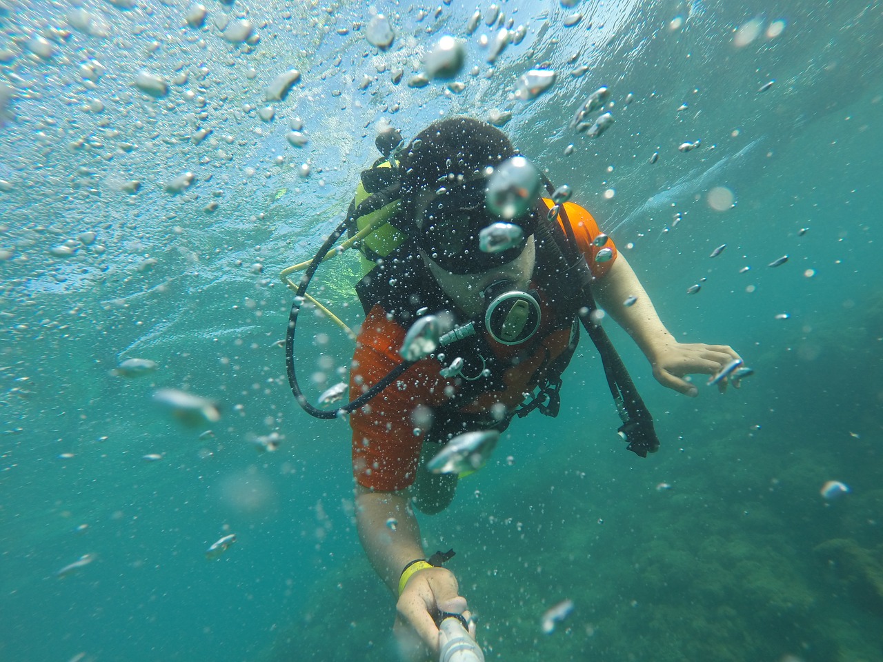 scuba diver selfie sea free photo