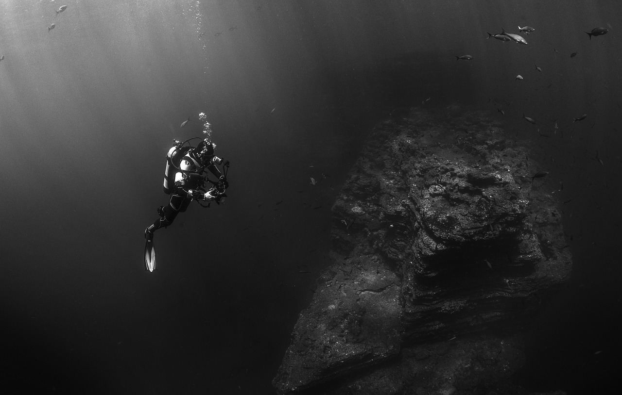 scuba diver diver diving free photo