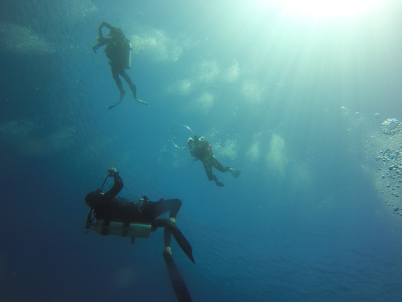scuba diving diving ocean free photo
