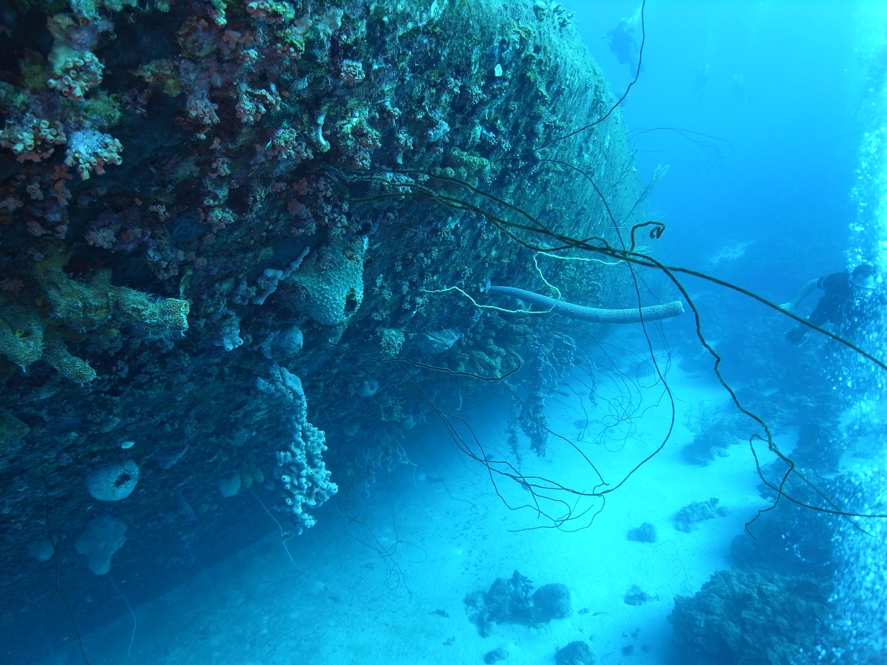 scuba diving underwater shipwreck free photo