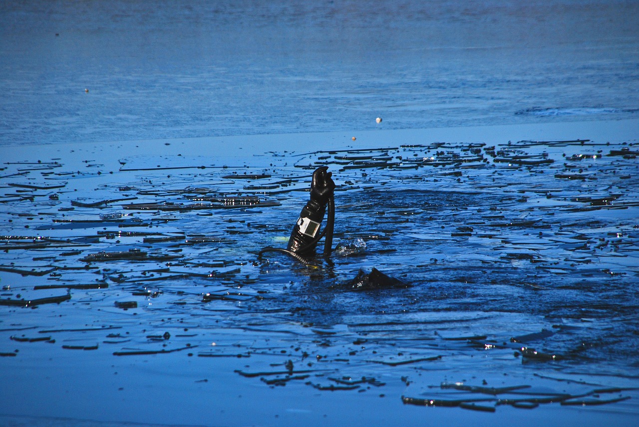 scuba diving new year slovenia free photo