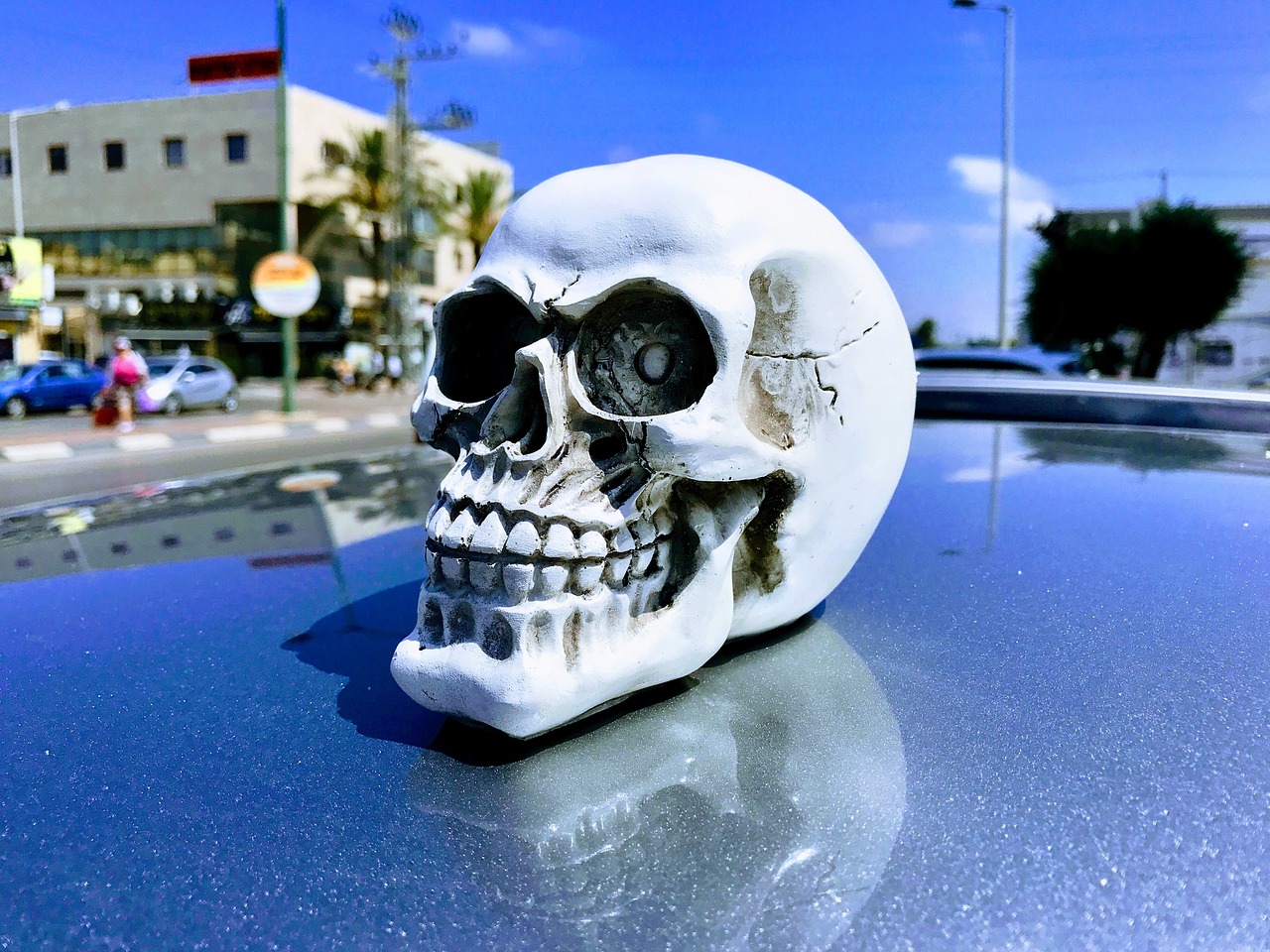 scull head scary free photo